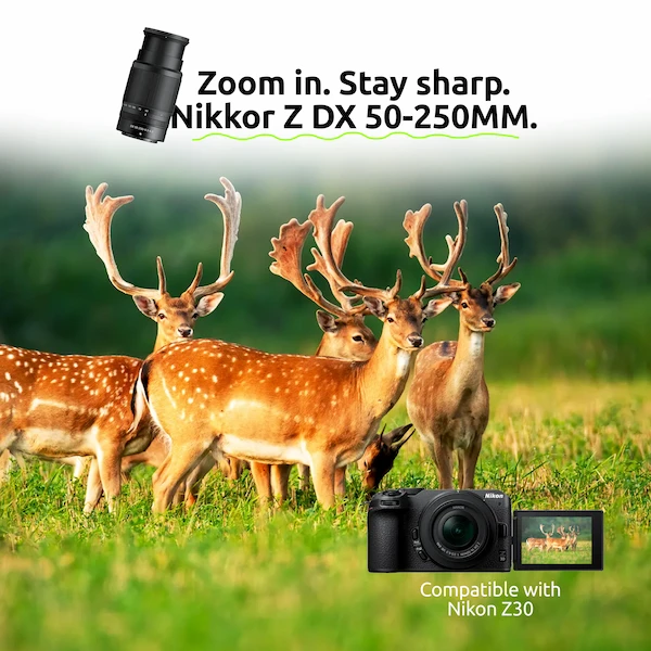 Rent nikkor z dx 50 250mm in Hyderabad | Zero Deposit Rentals