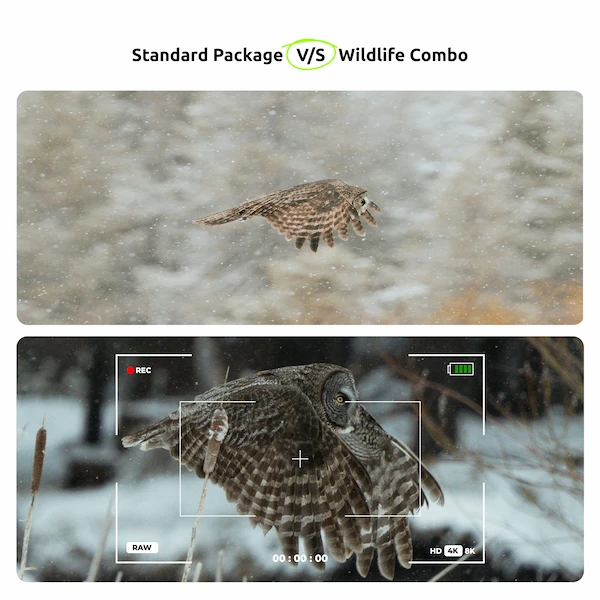 nikon-Z30-wildlife-combo-on-